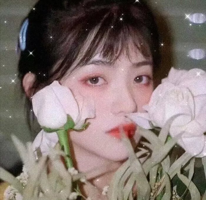 龙月